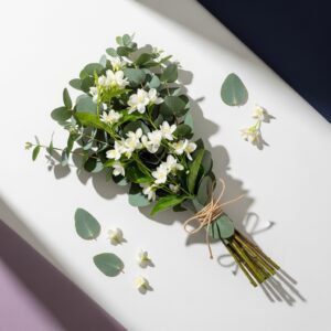 Eucalyptus and Jasmine Bundle