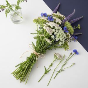 Wildflower Meadow Mix